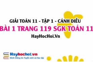Giải bài 1 trang 119 Toán 11 tập 1 SGK Cánh Diều